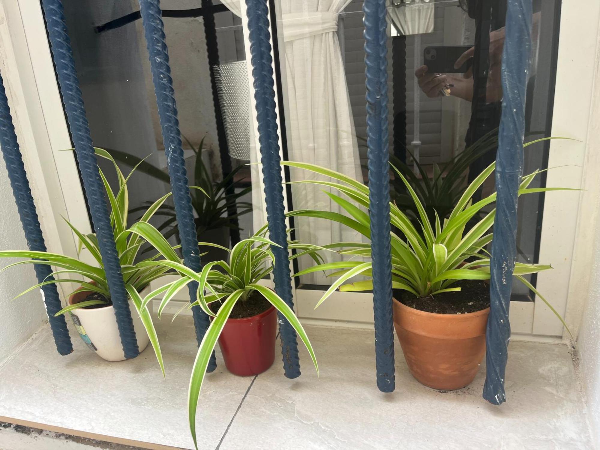 Casa Deniz Lägenhet Málaga Rum bild